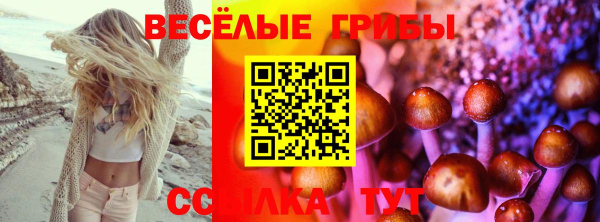 Екатеринбург  Галлюциногенные грибы мухоморы  Вход с VPN 